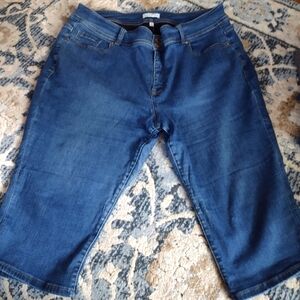 Lane Bryant Blue Cropped Ankle Jeans